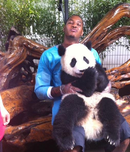 nba巨星和熊猫合影 NBA球星合影大熊猫(3)