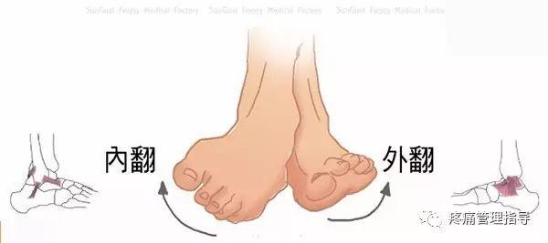 nba崴脚后怎么恢复的 NBA球星脚踝扭伤的处理方法(9)