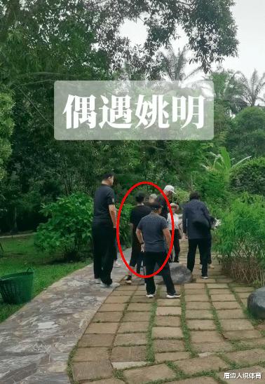 姚明一家逛植物园被偶遇 姚沁蕾身高再引关注 高成年男性一头(3)
