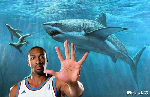 NBA球星的奇葩宠物：大将军饲养鲨鱼，波兰铁锤养猪逛商场(6)