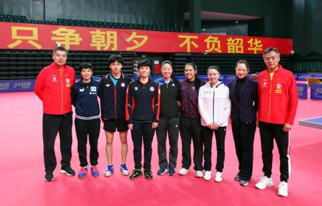乒超模拟奥运赛制 “ITTF世界职业联队”首次亮相(1)