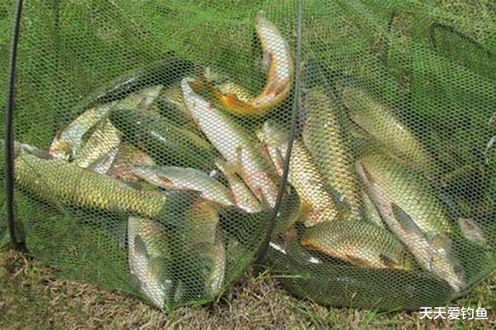 秋季野钓，出鱼位置有3个变化，掌握其中规律，精准找到鱼窝