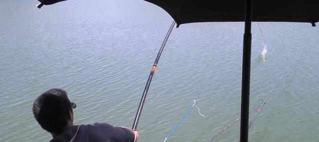 野钓鱼竿的选用，2种尺寸即可，选对上鱼遛鱼都很轻松(1)