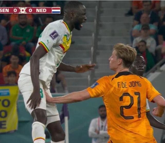 世界杯名画！荷兰大将袭击对手关键部位，后者表情痛苦被担架抬下(2)