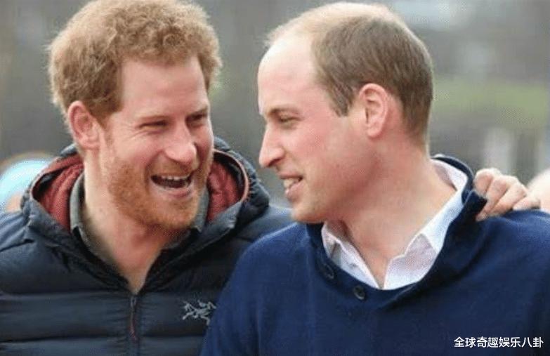 哈里王子在与威廉王子和解的传闻中发表了第一份声明