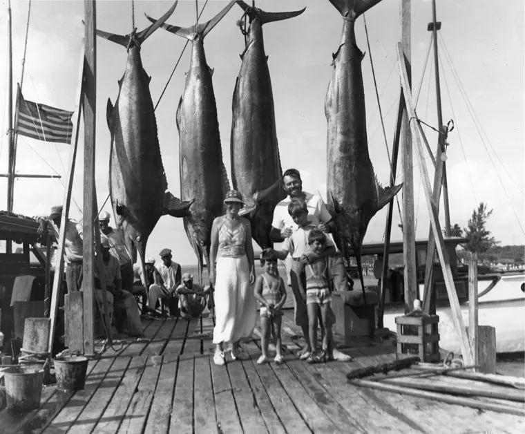 欧冠猛竿大鱼 五名大汉钓起400公斤重大马林鱼(4)