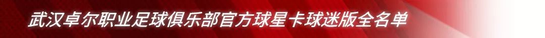 2019中超武汉卓尔工作证 「重磅」武汉卓尔职业足球俱乐部官方球星卡正式发售(3)