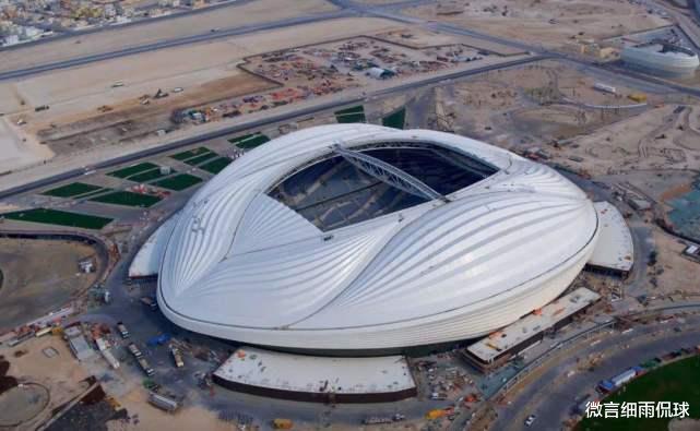卡塔尔世界杯被鲜血染红 6500多农民工 建球场时意外身亡！(4)