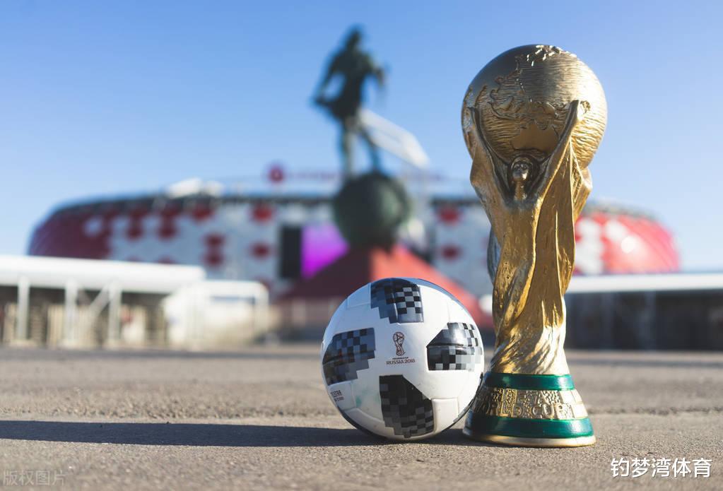 2030年世界杯申办申请将截止，超过10国曾表示有意向，中国无资格(2)