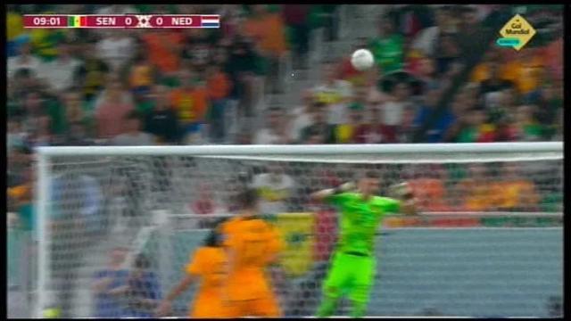 【世界杯】塞内加尔荷兰首发出炉，库利巴利VS范戴克(3)