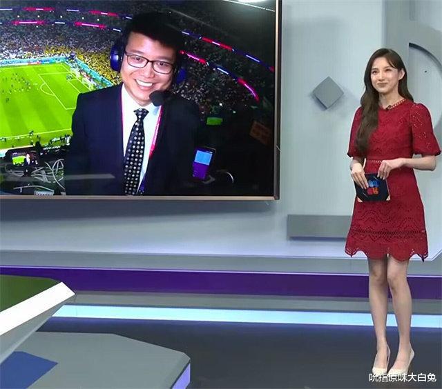 央视直播世界杯纯粹，场内中国广告惹关注，是专给国内观众看的吗(3)
