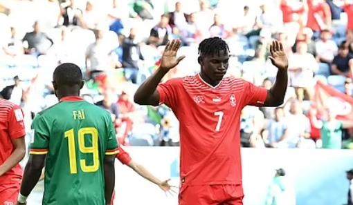 瑞士功臣喀麦隆造 恩博洛不庆祝进球留影世界杯