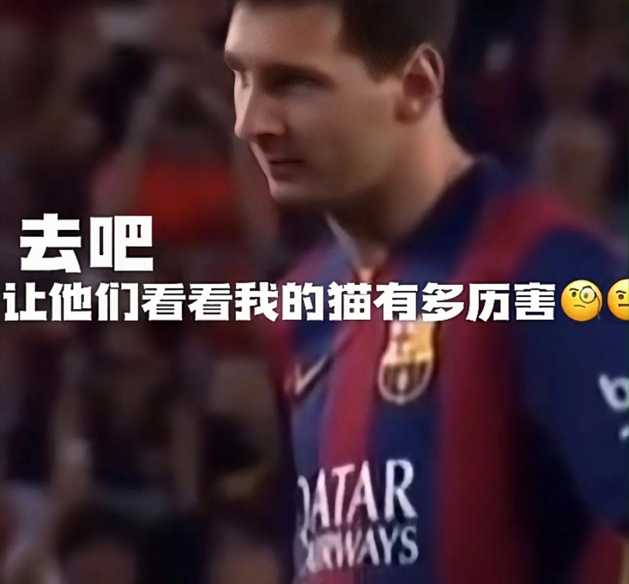 梅西猫：足坛的新宠儿，引发球迷们的疯狂争论！"

引言

大家好，我是中文自媒体(1)