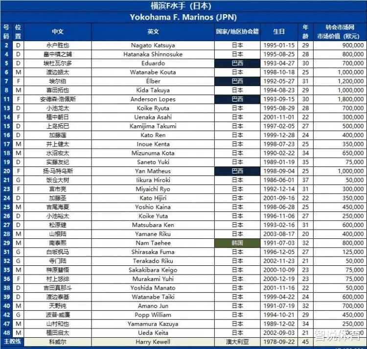 泰山亚冠对手公布33人名单：五外援领衔，后防线短板明显(2)